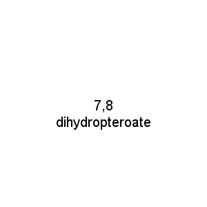 7,8 dihydropteroate